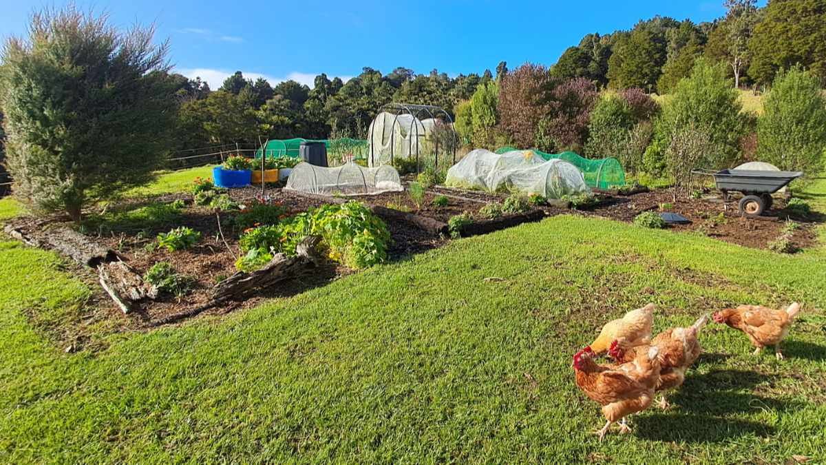 Kat's Garden in July 2026.