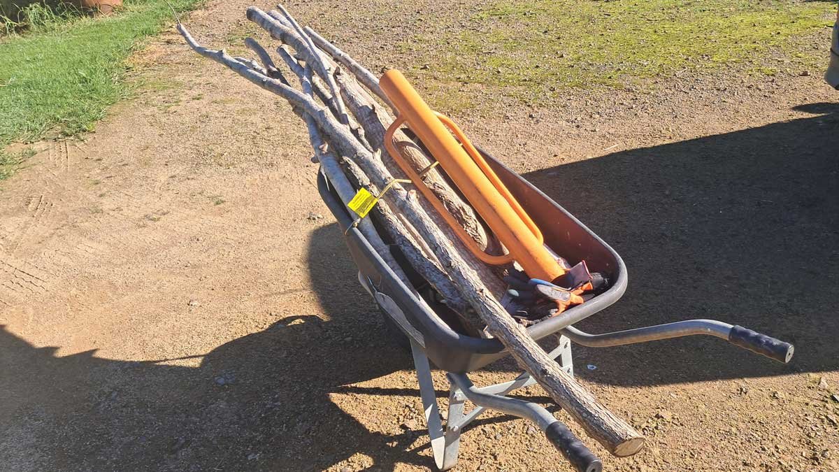 Poplar planting tools loaded up into a wheelbarrow with poplar poles. Poplar planting tools loaded up into a wheelbarrow with poplar poles.