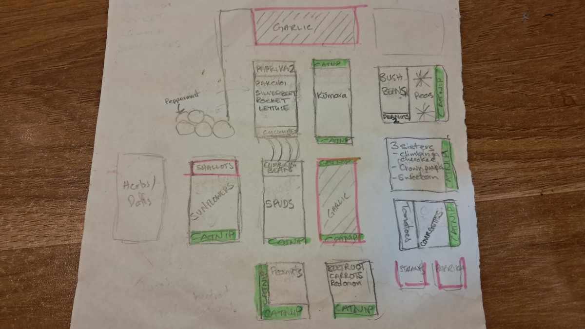 Hand-drawn map of my garden showing where everything will be growing this year. Hand-drawn map of my garden showing where everything will be growing this year.