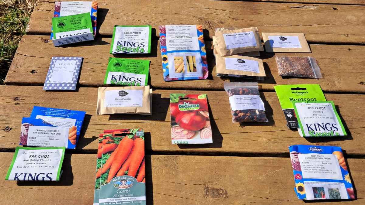 The many seeds I plan to plant this year. The many seeds I plan to plant this year.