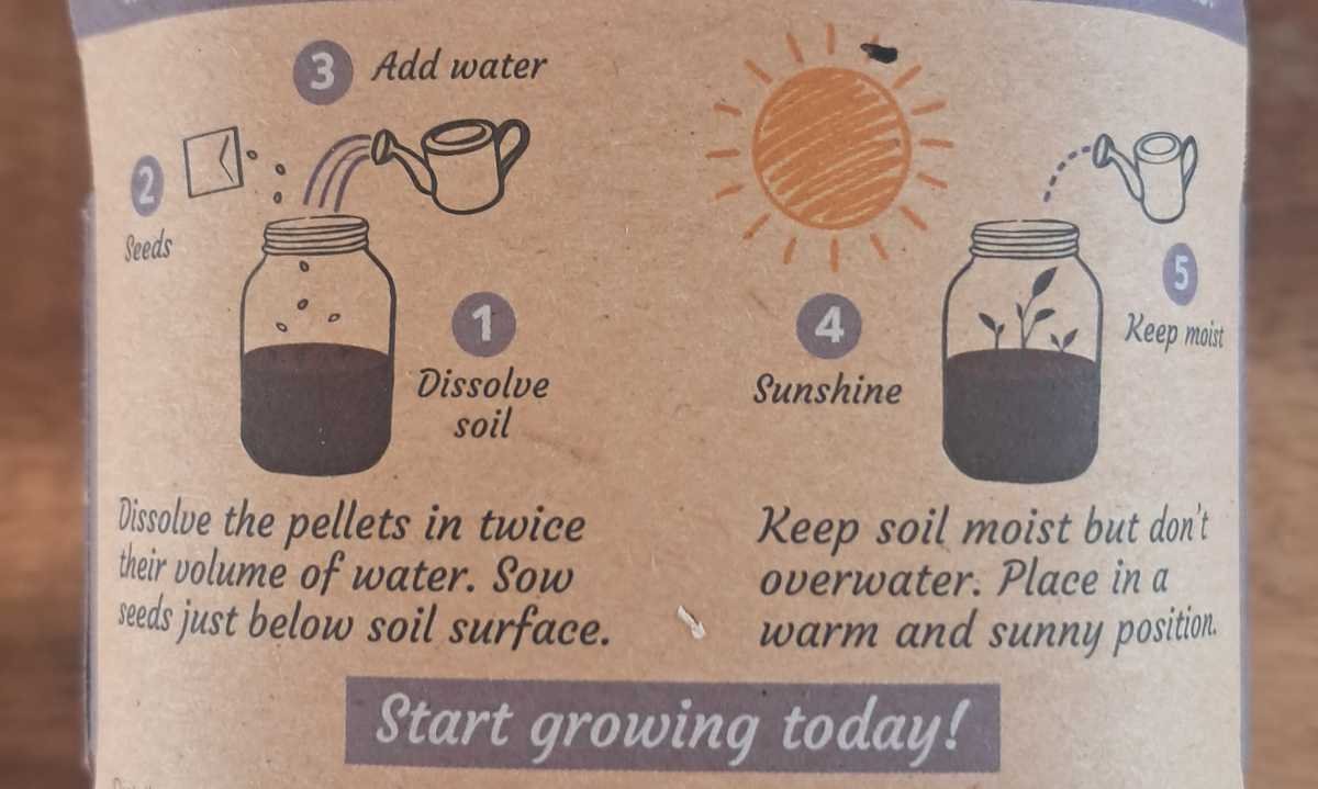 Instructions on the outside of the Boutique Garden dwarf sunflower growing kit. Instructions on the outside of the Boutique Garden dwarf sunflower growing kit.