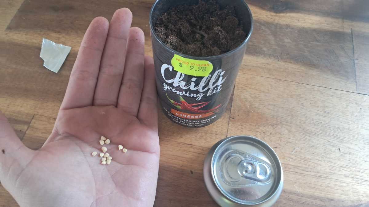 Planting the Boutique Gardens Cayenne Pepper growing kit. Planting the Boutique Gardens Cayenne Pepper growing kit.